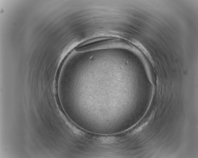 X0000064740893200602171704