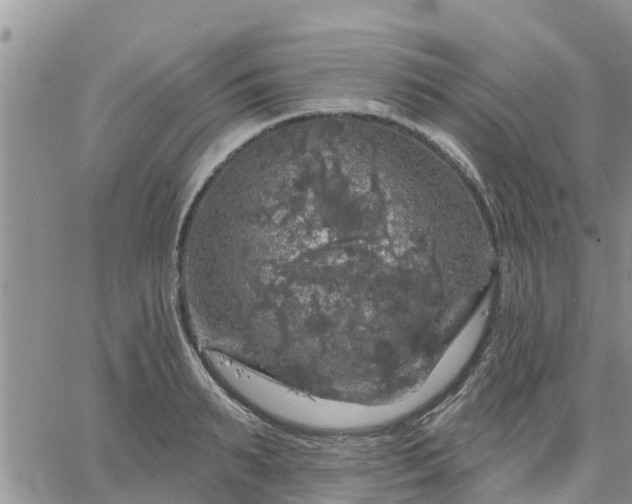 X0000064740895200602171704