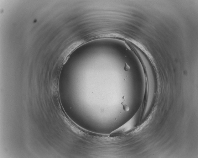 X0000064740897200602171704