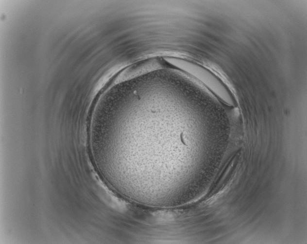 X0000064740898200602171704