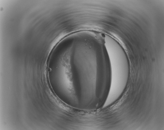 X0000064740899200602171704