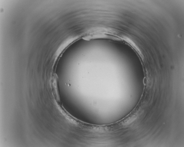 X0000064740901200602171704