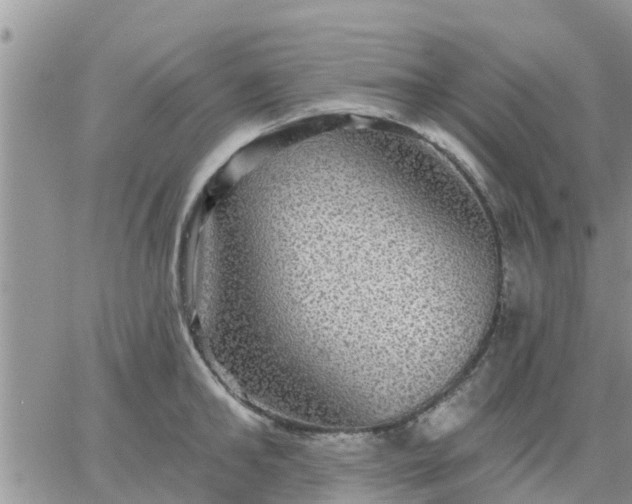 X0000064740902200602171704