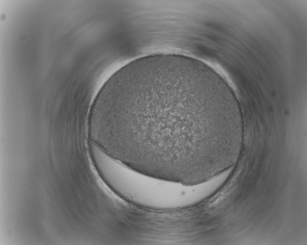 X0000064740903200602171704