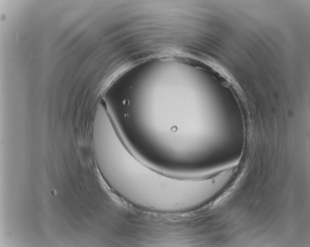 X0000064740905200602171704