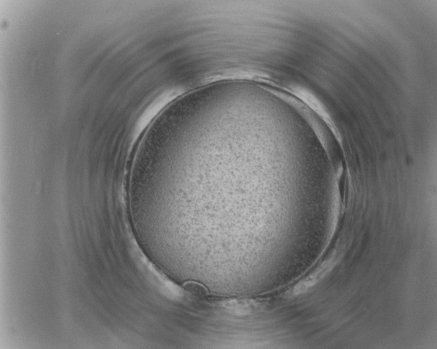 X0000064740906200602171704