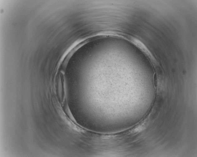 X0000064740908200602171704