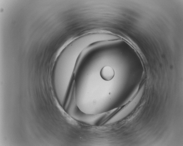 X0000064740909200602171704