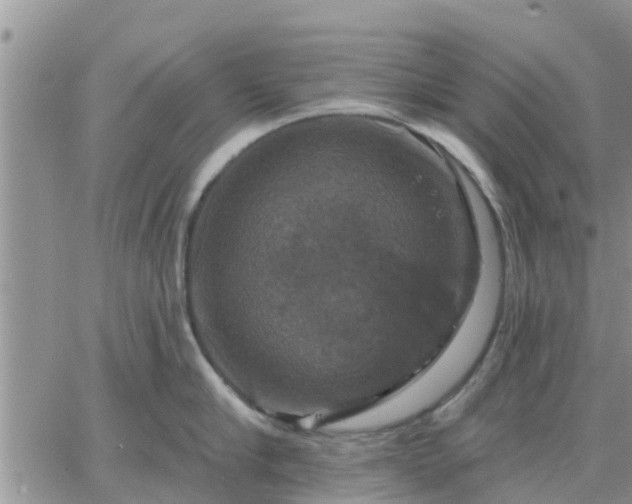 X0000064740910200602171704