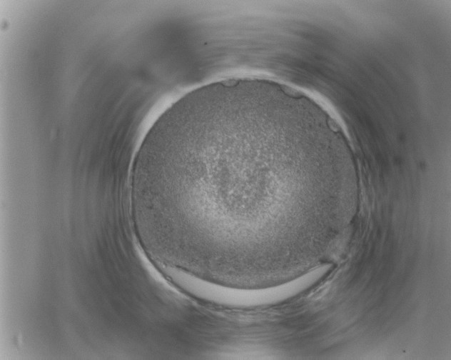 X0000064740911200602171704