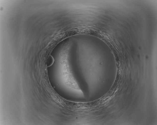 X0000064740913200602171703