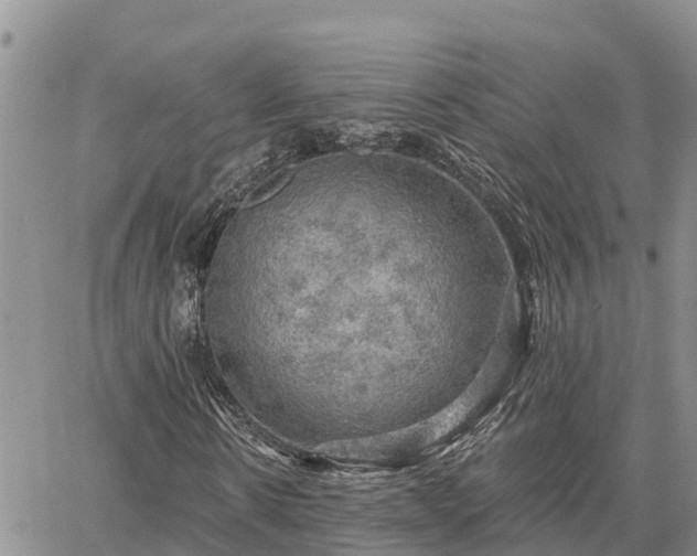 X0000064740914200602171703