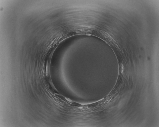 X0000064740915200602171703