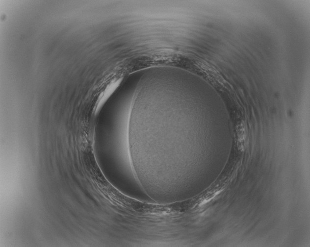 X0000064740916200602171703