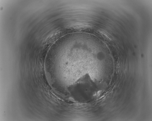 X0000064740917200602171703