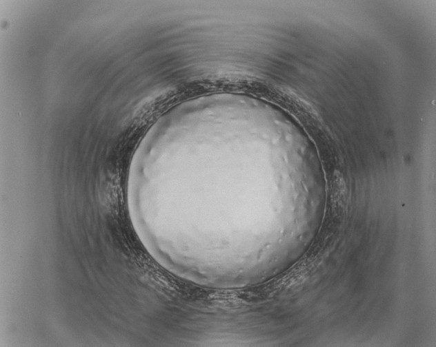 X0000064740918200602171703