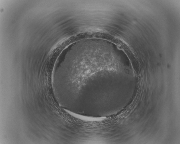 X0000064740919200602171703