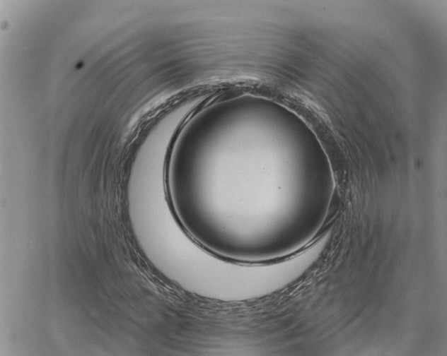 X0000064740920200602171703