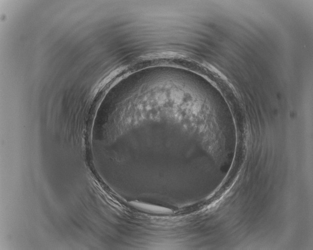 X0000064740921200602171703