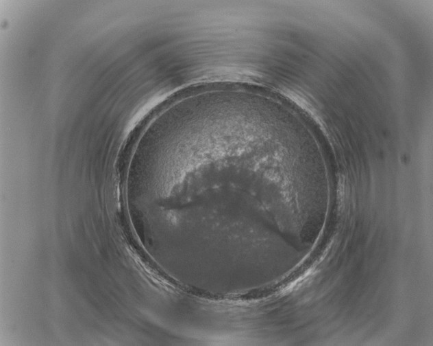 X0000064740925200602171703