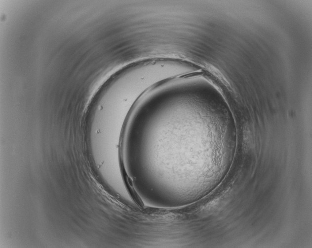 X0000064740926200602171703