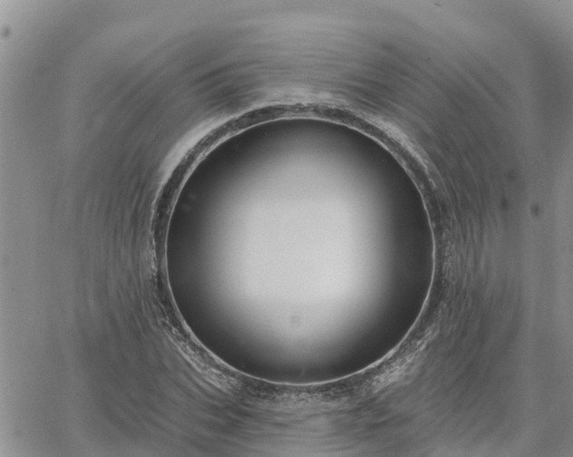 X0000064740927200602171703