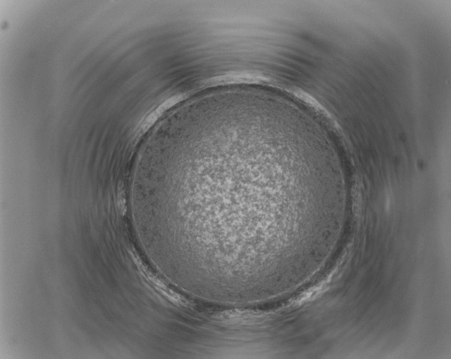 X0000064740929200602171703