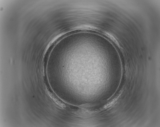 X0000064740931200602171703