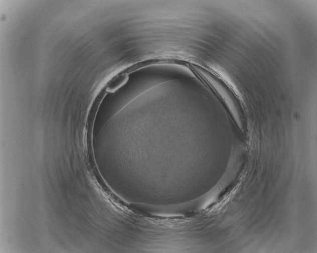 X0000064740932200602171703