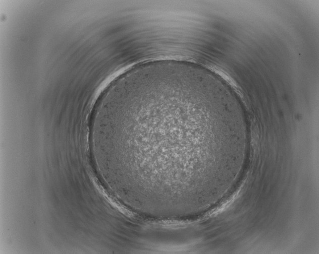 X0000064740933200602171703