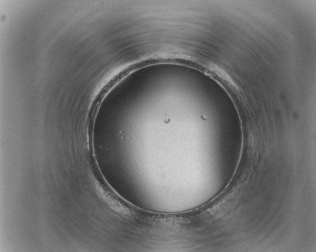 X0000064740934200602171703