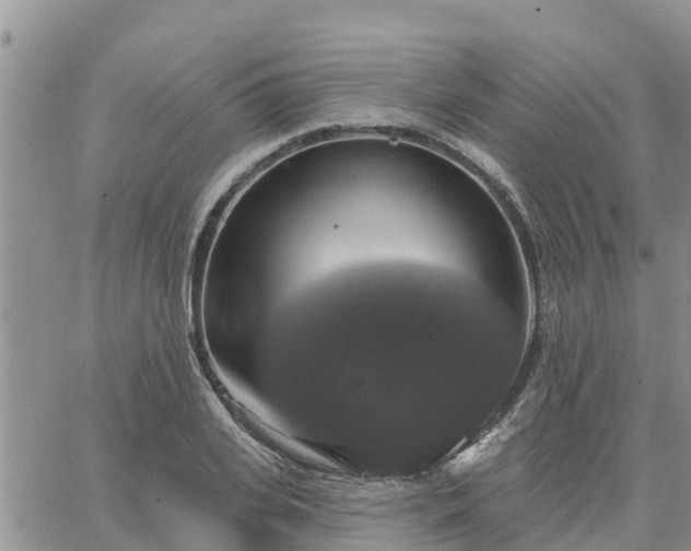 X0000064740935200602171703