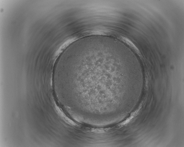 X0000064740938200602171703