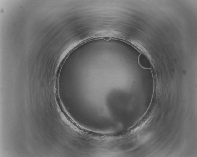 X0000064740941200602171703