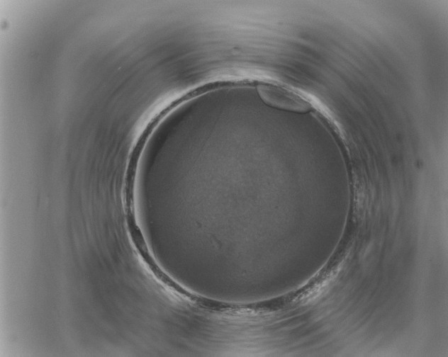 X0000064740943200602171704