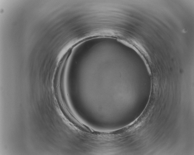 X0000064740944200602171704