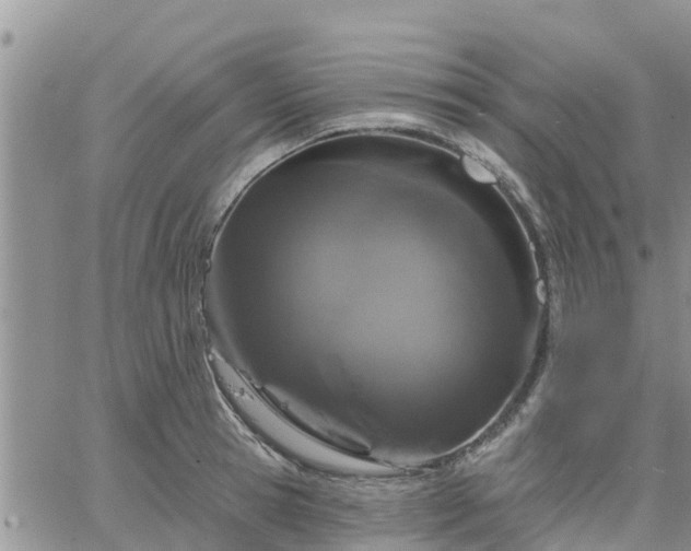 X0000064740945200602171704