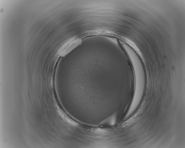 X0000064740946200602171704