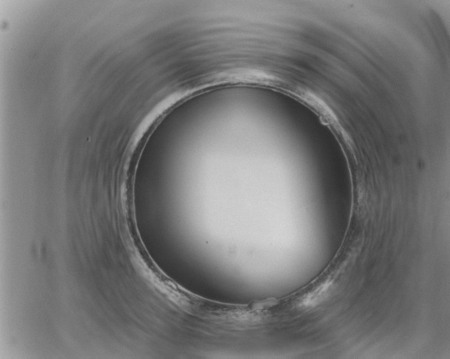 X0000064740947200602171704