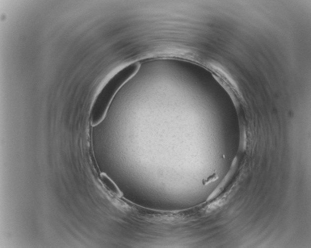 X0000064740948200602171704