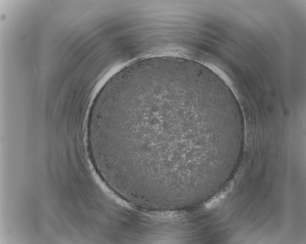 X0000064740949200602171704