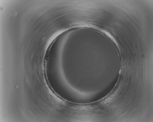 X0000064740951200602171704