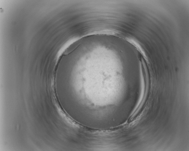 X0000064740952200602171704