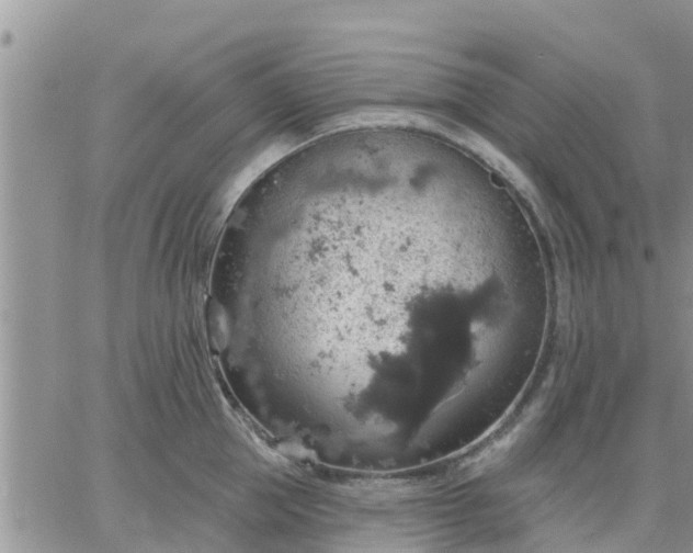 X0000064740953200602171704