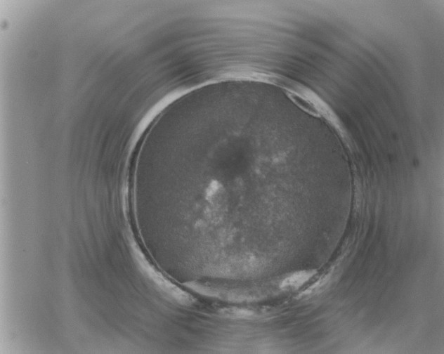 X0000064740955200602171704