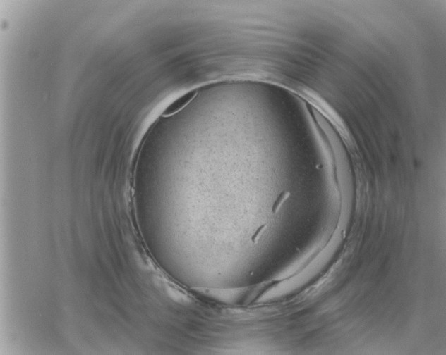 X0000064740956200602171704