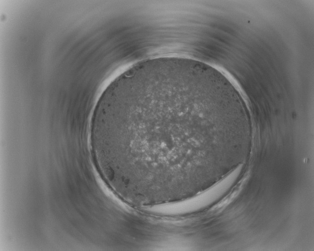 X0000064740957200602171704