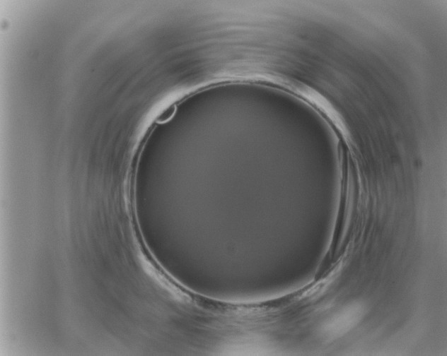 X0000064740958200602171704