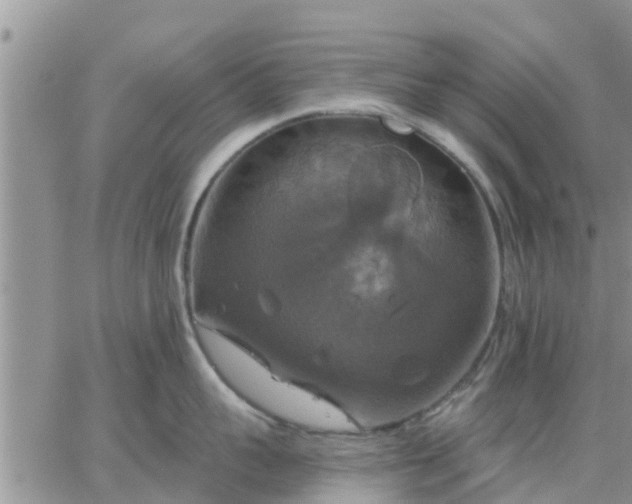 X0000064740959200602171704