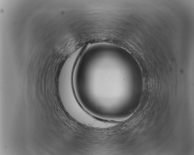 X0000064740961200602171703